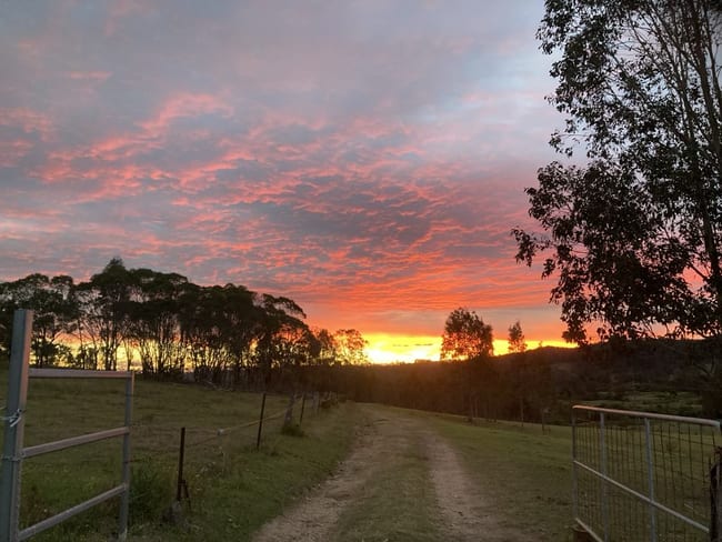 620 Tabulam Road Lower Bottle Creek NSW 2469 620 Tabulam Road Lower Bottle Creek NSW 2469