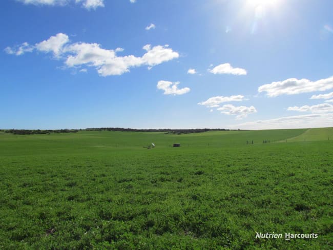 40 Matsen Road Dongara WA 6525