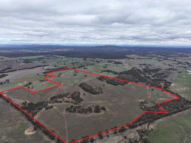 Lot 1 Rheola - Llanelly Road Murphys Creek VIC 3551 Lot 1 Rheola - Llanelly Road Murphys Creek VIC 3551
