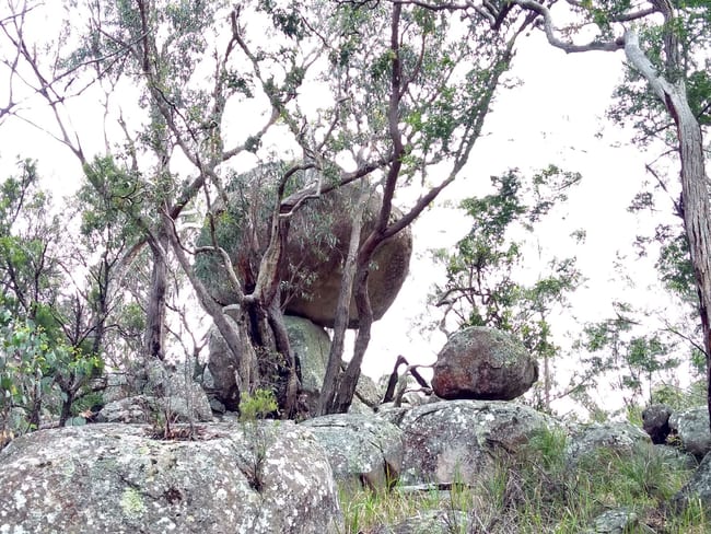 Lot 103 Brushabers Road Jennings NSW 4383
