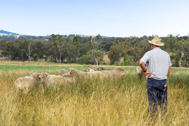 "Linallie" 2263 Greenup Limevale Road Brush Creek QLD 4387 "Linallie" 2263 Greenup Limevale Road Brush Creek QLD 4387