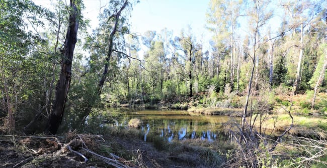 Lot 34, 35, 36 Monaro Highway Rockton NSW 2632