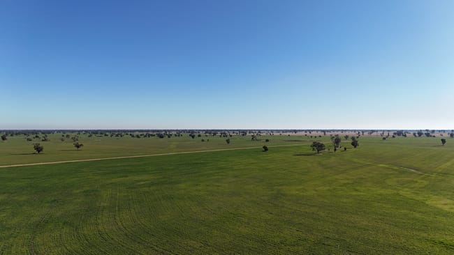 279 Hotchkiss Road Baradine NSW 2396