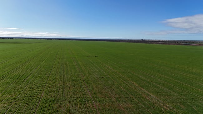 697 Solomon Road Perenjori WA 6620