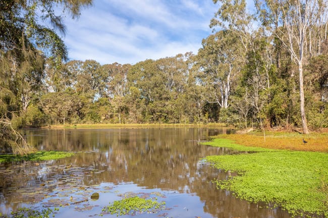 97 Glenthorne Road Glenthorne NSW 2430 97 Glenthorne Road Glenthorne NSW 2430