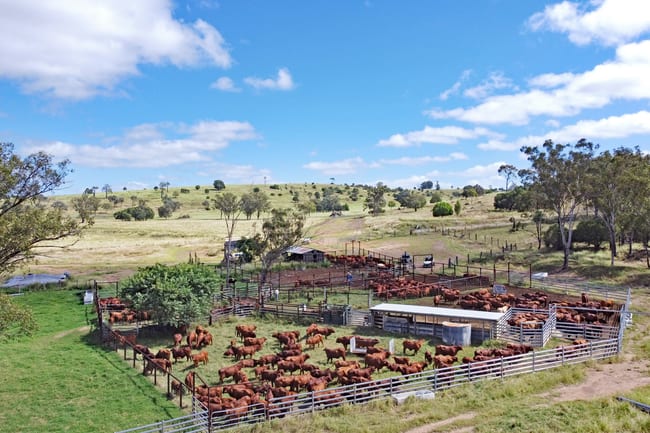"Mt Shaw"/2123 Harrami Road Harrami QLD 4630 "Mt Shaw"/2123 Harrami Road Harrami QLD 4630