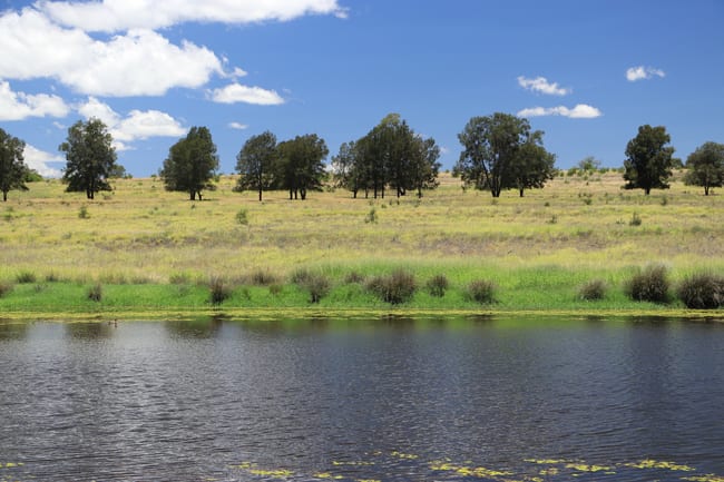 2053 Wallumbilla North Rd Wallumbilla QLD 4428