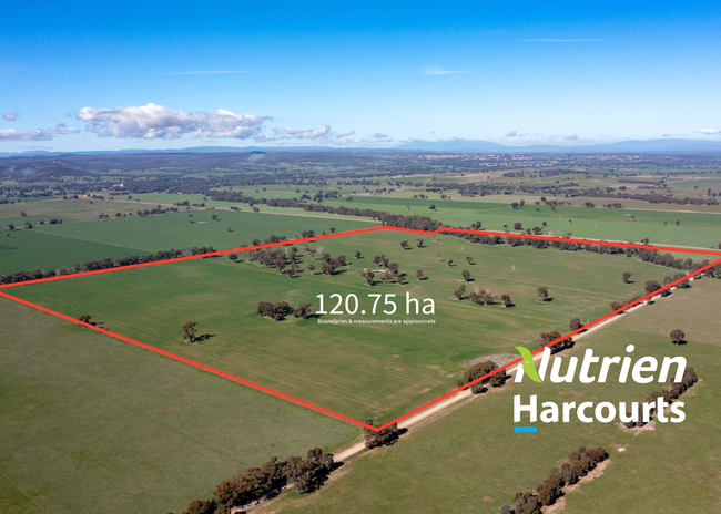 CA 42 & 43 / PP2180 Boralma-Rutherglen Road Springhurst VIC 3682 CA 42 & 43 / PP2180 Boralma-Rutherglen Road Springhurst VIC 3682