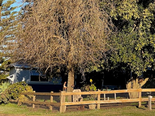 241 Greenfields Road Benjinup WA 6255 241 Greenfields Road Benjinup WA 6255