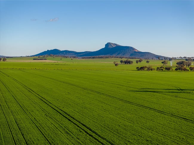 621 The Rock-Collingullie Road The Rock NSW 2655