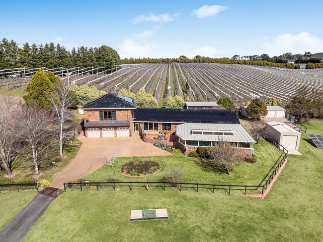 19 Wallace Lane Orange NSW 2800