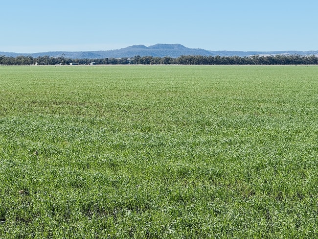 Lot 95 Bacons Road Kelvinhaugh QLD 4401 Lot 95 Bacons Road Kelvinhaugh QLD 4401