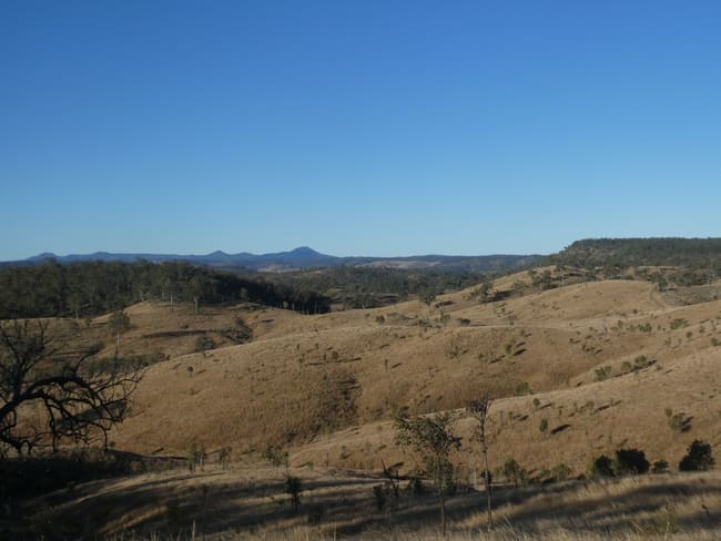 4 Lots/NRN Monto Mount Perry Road Mungy QLD 4671
