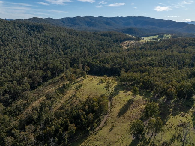 3954 Tulloch Ard Road Buchan VIC 3885 3954 Tulloch Ard Road Buchan VIC 3885