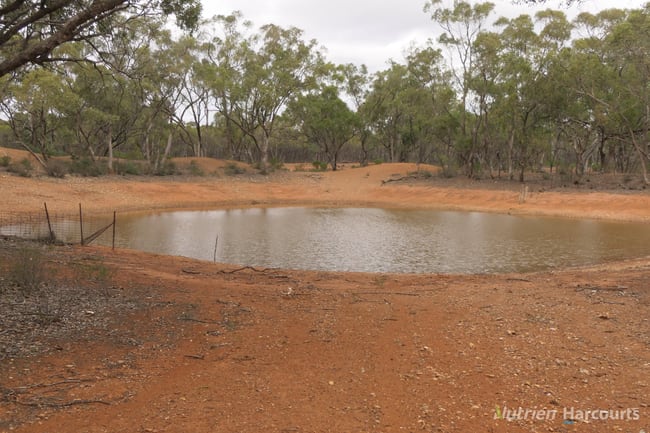 * YARRANVALE Nymagee NSW 2831