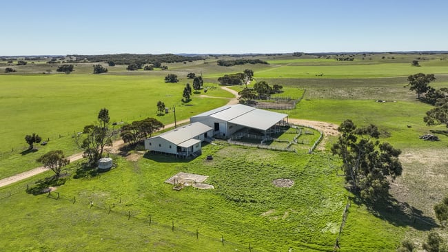 381 & 907 Pascoe Road Coonalpyn SA 5265