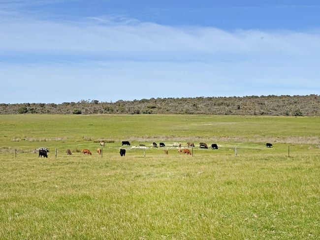 Lt 1 & 3 Paterson Road Monjingup WA 6450 Lt 1 & 3 Paterson Road Monjingup WA 6450