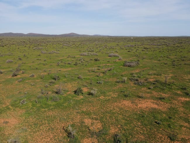 'Acacia Ridge' 511 Tapscott Rd Orroroo SA 5431