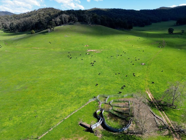 'Eastmore' 1177 Callaghan Creek Road Mitta Mitta VIC 3701