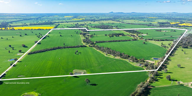 'Blossom Farm' Klemkes Road Henty NSW 2658 'Blossom Farm' Klemkes Road Henty NSW 2658