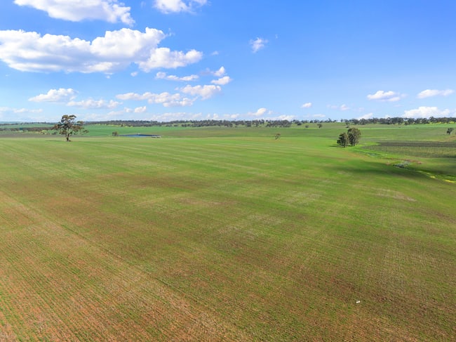 Lot 101 Schobers Road Auburn SA 5451 Lot 101 Schobers Road Auburn SA 5451