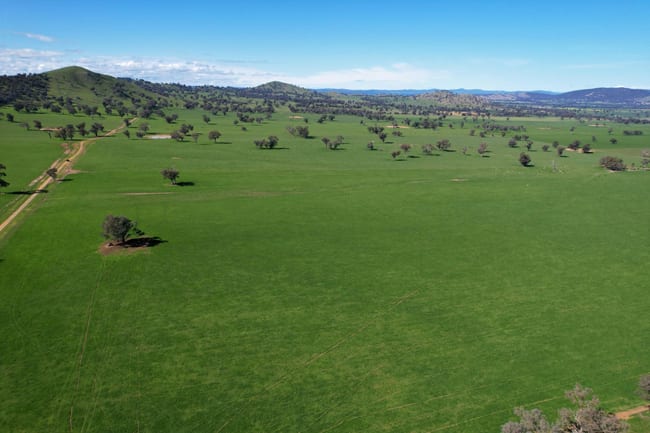 0 Stonehaven Road Holbrook NSW 2644
