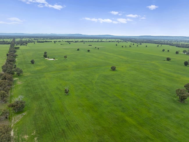 Williams Road Nagambie VIC 3608 Williams Road Nagambie VIC 3608