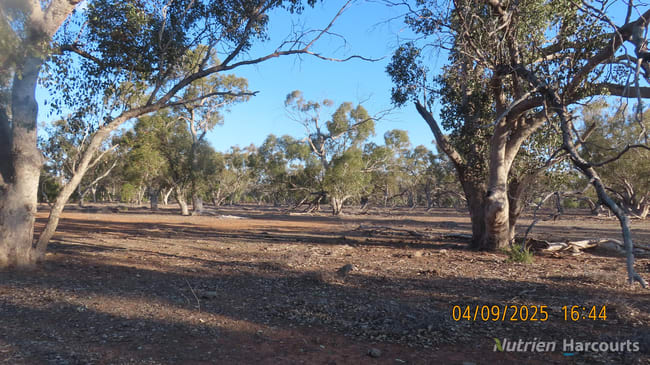 * MUD HUT Bourke NSW 2840 * MUD HUT Bourke NSW 2840