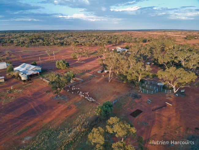 * Fairview Station, 2667 Mulya Road Cobar NSW 2835