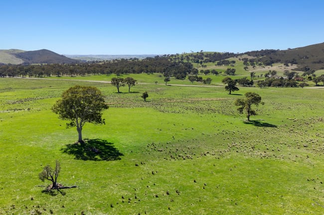 1663 Mountain Creek Road Mullion NSW 2582
