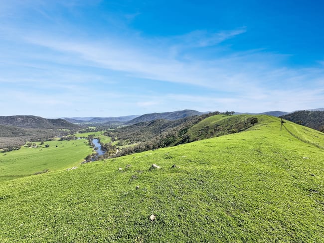 5114 River Road Jingellic NSW 2642 5114 River Road Jingellic NSW 2642
