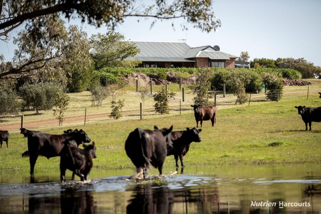 Lot 407 Telegraph Road Monjingup WA 6450 Lot 407 Telegraph Road Monjingup WA 6450