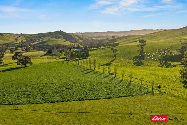 Boorowa NSW 2586 Boorowa NSW 2586