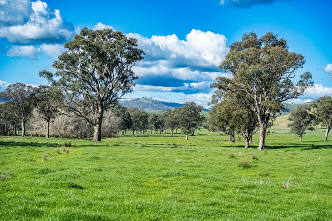 2852 Shelley Road Walwa VIC 3709 2852 Shelley Road Walwa VIC 3709