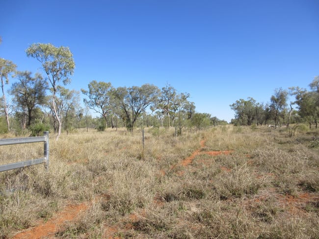 4092 Narbethong Road Barcaldine QLD 4725 4092 Narbethong Road Barcaldine QLD 4725