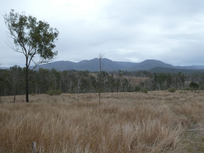 Lot 26 Tenningering Road Good Night QLD 4671