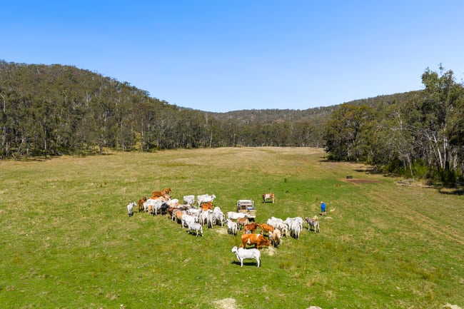 'Yabragunyah' Pilton Valley Road Upper Pilton QLD 4361 'Yabragunyah' Pilton Valley Road Upper Pilton QLD 4361