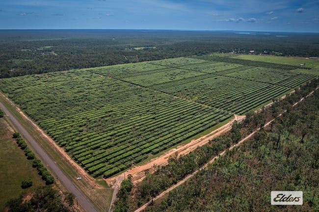 1070 Livingstone Road Berry Springs NT 0838