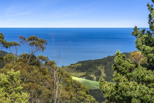 675 Skenes Creek Road Skenes Creek North VIC 3233 675 Skenes Creek Road Skenes Creek North VIC 3233