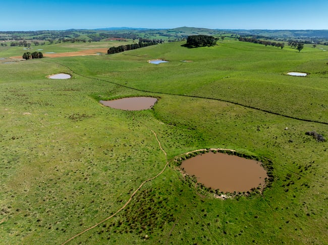 242 Bundaleer Road Newbridge NSW 2795