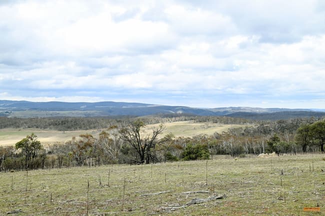 "Eagle Heights" 636 Caddigat Road Dry Plain NSW 2630