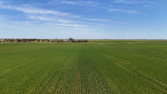 1266 Davis Rd Pirie East SA 5540