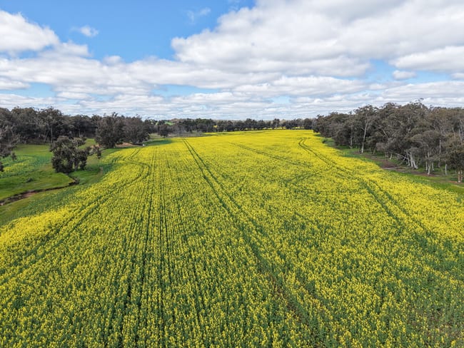 Lot 2950 Kulikup Road North Kulikup WA 6244 Lot 2950 Kulikup Road North Kulikup WA 6244