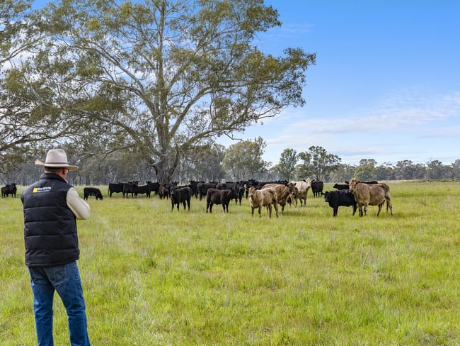 Lot 2 & Lot 1, PS 72 Basin Road Tarnook VIC 3670 Lot 2 & Lot 1, PS 72 Basin Road Tarnook VIC 3670