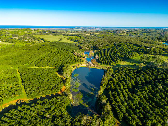 145 Brooklet Road Newrybar NSW 2479