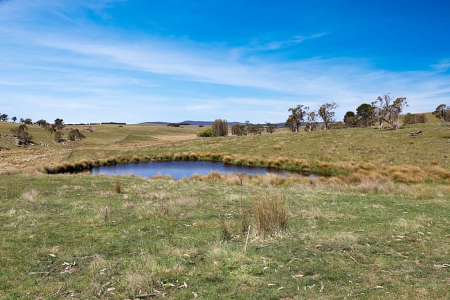 "Glenroy" Corrowong Road Delegate NSW 2633