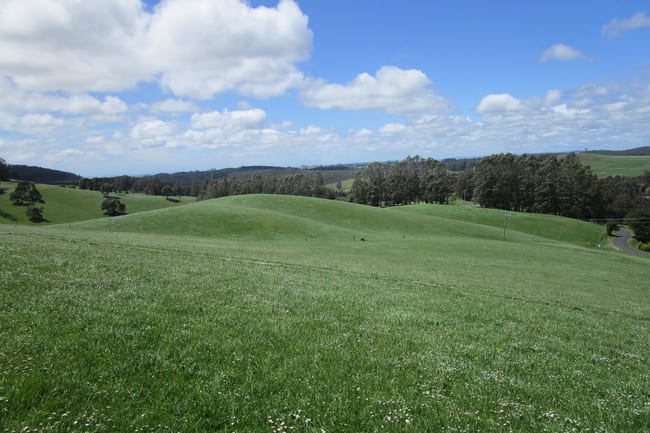 65 Preston-Castra Road Preston TAS 7315