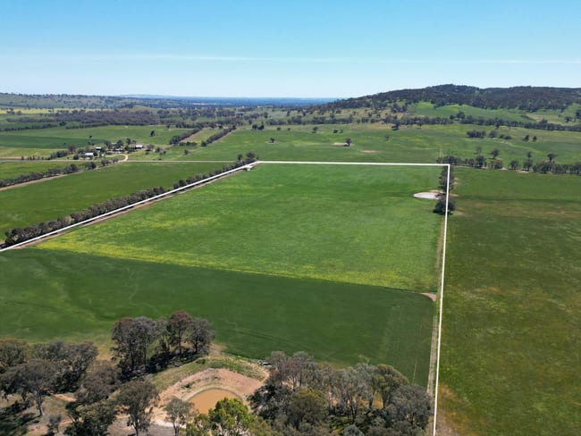 798 Bethel Road Glenellen NSW 2642 798 Bethel Road Glenellen NSW 2642