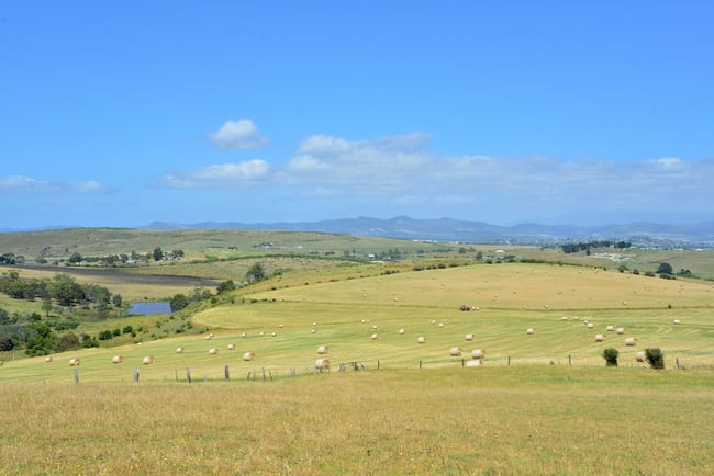 312 Nugent Road Wattle Hill TAS 7172 312 Nugent Road Wattle Hill TAS 7172