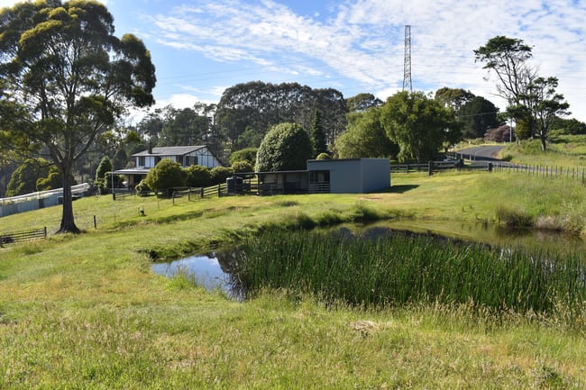 1001 Holwell Road Holwell TAS 7275 1001 Holwell Road Holwell TAS 7275